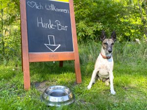 Hundebar mit Luni